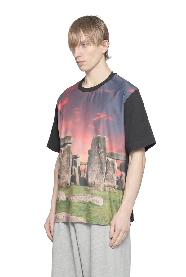 RENTON - STONEHENGE PRINT