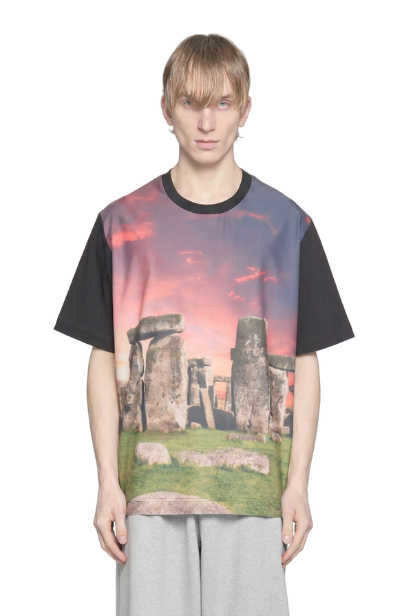 RENTON - STONEHENGE PRINT