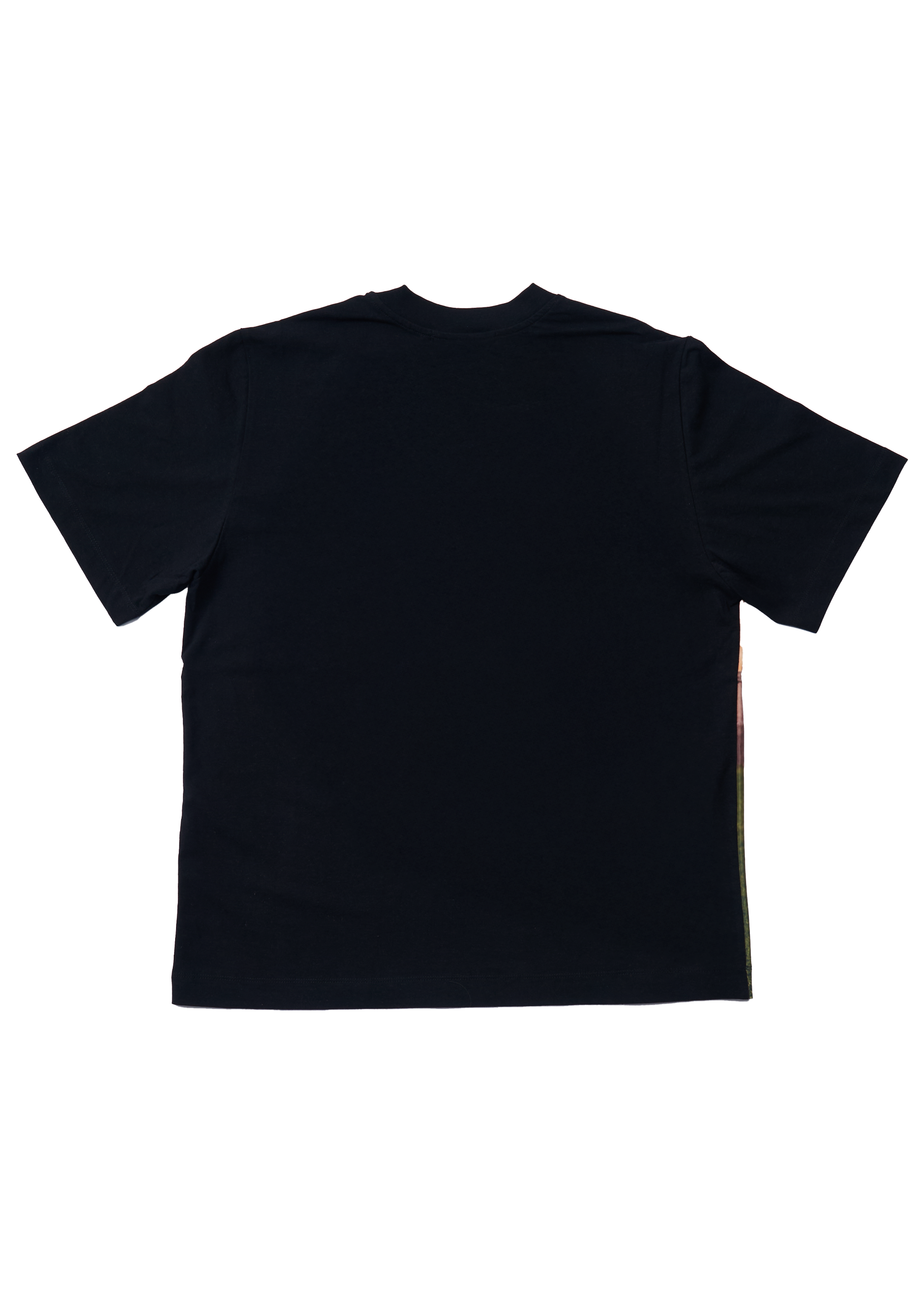 RENTON - STONEHENGE PRINT